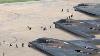 Us Pilots Rush For Their Massive Stealth Bombers And Takeoff At Full Throttle